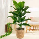 85cm 30 Leaves Tropical Artifici Plant Large Fake Palm Tree Artificial Plants Leaves Plastic Foliage for Home Garden Decoration